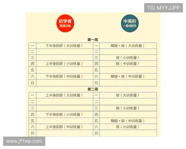 打造全方位健康生活方式:从运动训练到饮食管理的科学指南